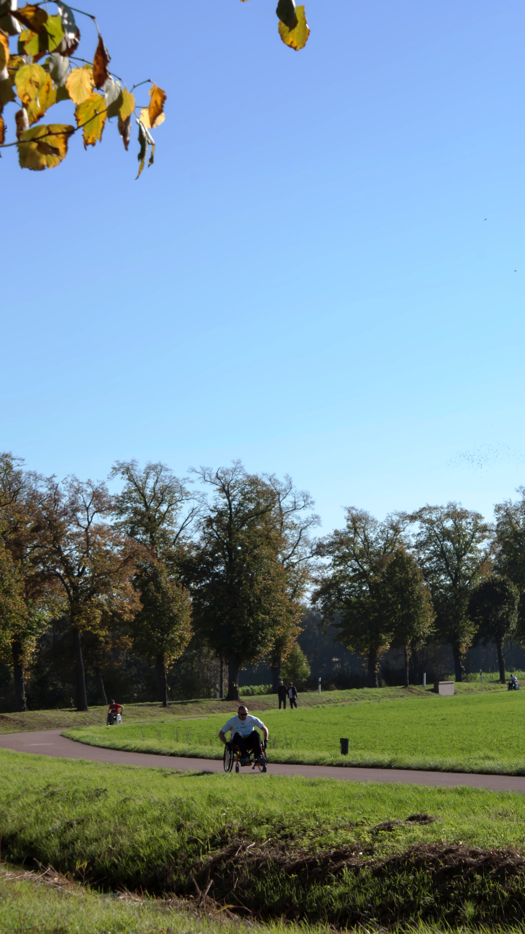 SONY DSC